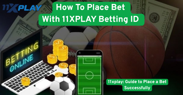 How To Bet on 11xplay Platform